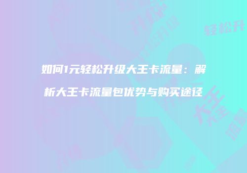 如何1元轻松升级大王卡流量：解析大王卡流量包优势与购买途径