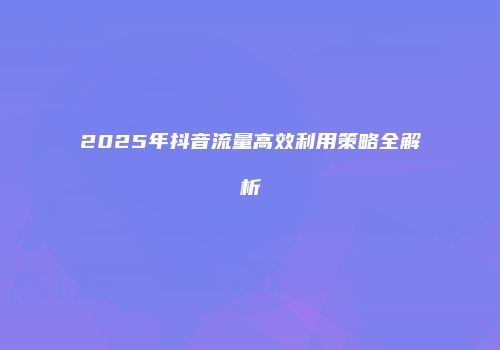 2025年抖音流量高效利用策略全解析