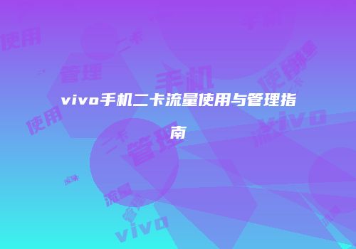 vivo手机二卡流量使用与管理指南