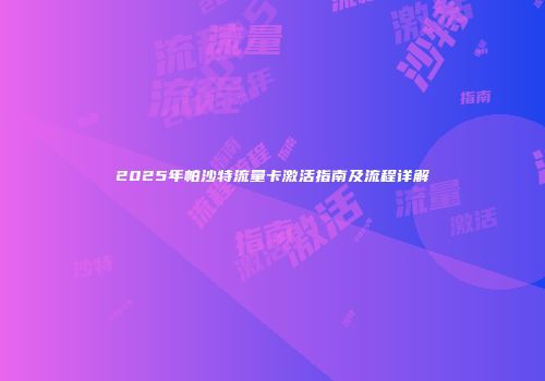 2025年帕沙特流量卡激活指南及流程详解
