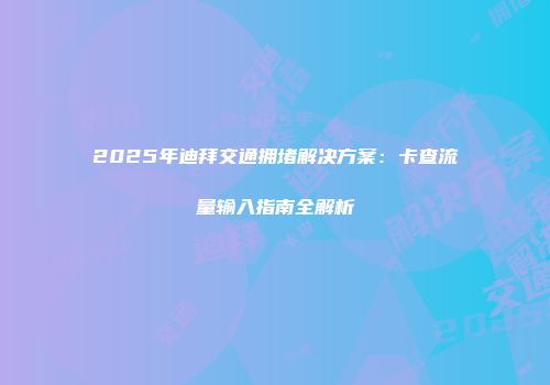 2025年迪拜交通拥堵解决方案：卡查流量输入指南全解析