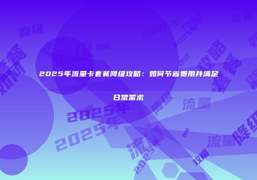 2025年流量卡套餐降级攻略：如何节省费用并满足日常需求