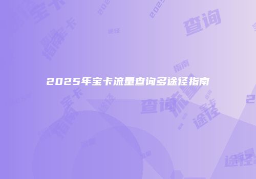 2025年宝卡流量查询多途径指南