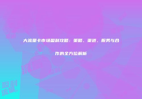 大流量卡市场盈利攻略：策略、渠道、服务与合作的全方位解析
