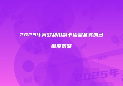 2025年高效利用副卡流量套餐的多维度策略
