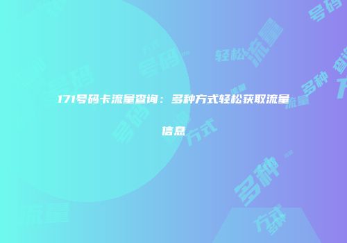 171号码卡流量查询：多种方式轻松获取流量信息