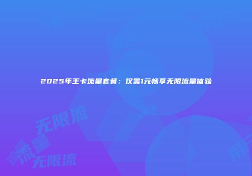 2025年王卡流量套餐：仅需1元畅享无限流量体验