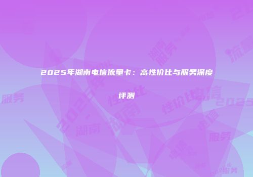 2025年湖南电信流量卡：高性价比与服务深度评测