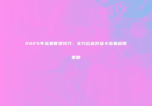 2025年流量管理技巧：全方位应对福卡流量超限策略