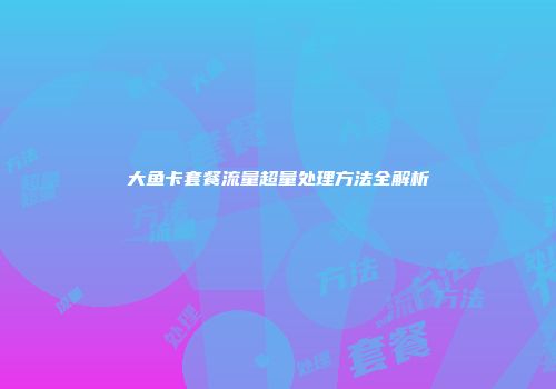 大鱼卡套餐流量超量处理方法全解析