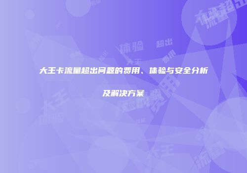 大王卡流量超出问题的费用、体验与安全分析及解决方案