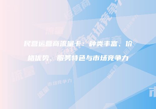 民营运营商流量卡：种类丰富、价格优势、服务特色与市场竞争力