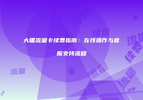 大疆流量卡续费指南：在线操作与客服支持流程