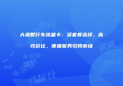 大鱼智行车流量卡：多套餐选择，高性价比，便捷服务引领市场
