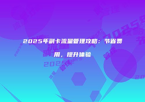 2025年副卡流量管理攻略：节省费用，提升体验