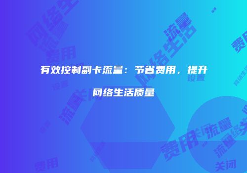 有效控制副卡流量：节省费用，提升网络生活质量