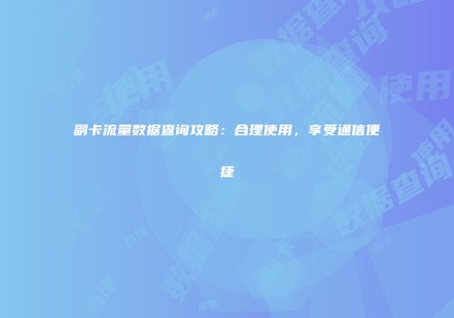 副卡流量数据查询攻略：合理使用，享受通信便捷