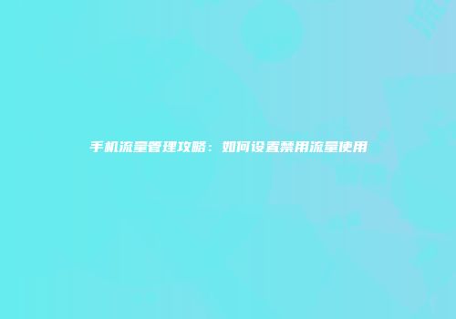 手机流量管理攻略：如何设置禁用流量使用