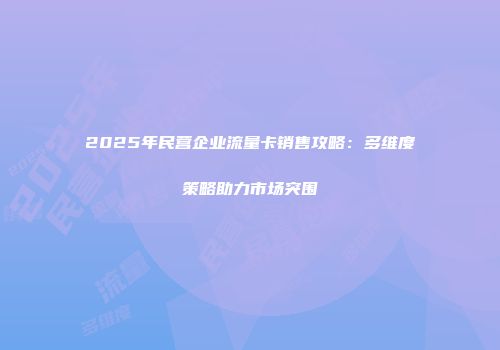 2025年民营企业流量卡销售攻略：多维度策略助力市场突围