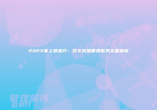 2025掌上营业厅：双卡流量管理服务全面解析
