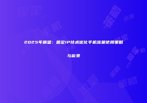 2025年展望：固定IP技术优化手机流量使用策略与前景