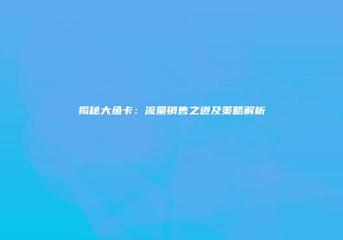揭秘大鱼卡：流量销售之道及策略解析
