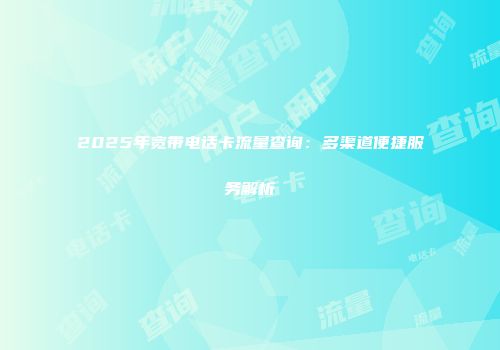 2025年宽带电话卡流量查询：多渠道便捷服务解析