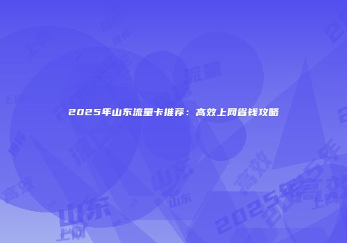 2025年山东流量卡推荐：高效上网省钱攻略