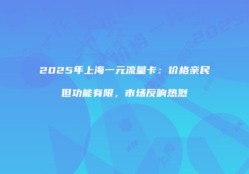 2025年上海一元流量卡：价格亲民但功能有限，市场反响热烈
