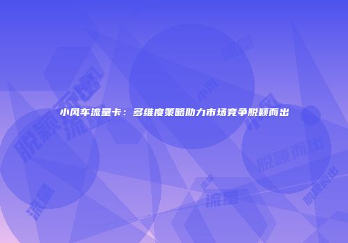 小风车流量卡：多维度策略助力市场竞争脱颖而出