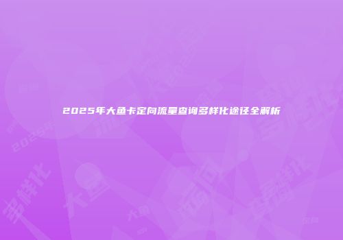 2025年大鱼卡定向流量查询多样化途径全解析