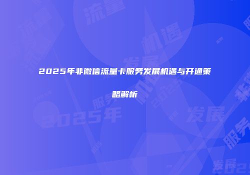 2025年非微信流量卡服务发展机遇与开通策略解析