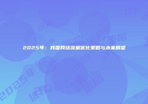 2025年：我国网络流量优化策略与未来展望