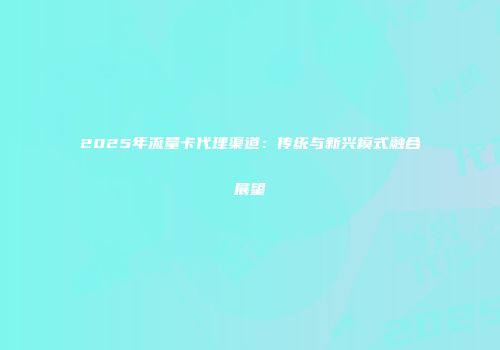 2025年流量卡代理渠道：传统与新兴模式融合展望