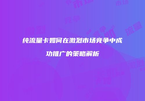 纯流量卡如何在激烈市场竞争中成功推广的策略解析