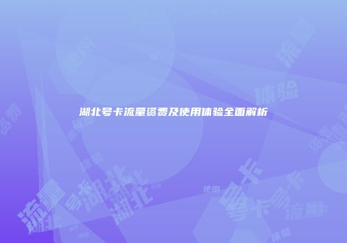 湖北号卡流量资费及使用体验全面解析