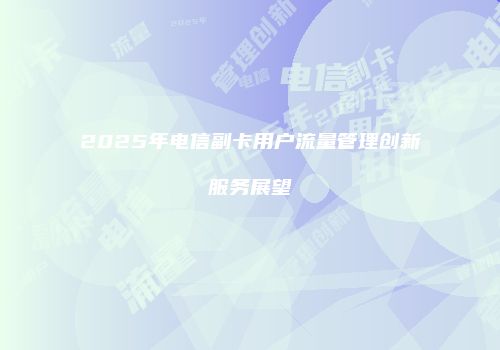 2025年电信副卡用户流量管理创新服务展望
