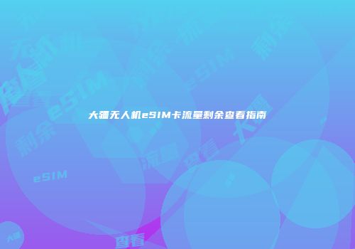 大疆无人机eSIM卡流量剩余查看指南