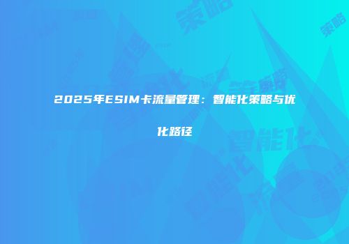 2025年ESIM卡流量管理：智能化策略与优化路径