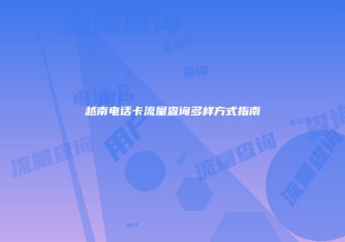 越南电话卡流量查询多样方式指南