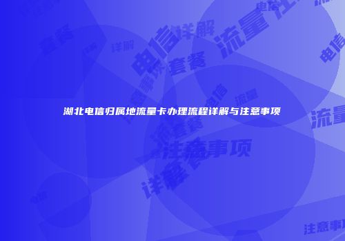 湖北电信归属地流量卡办理流程详解与注意事项