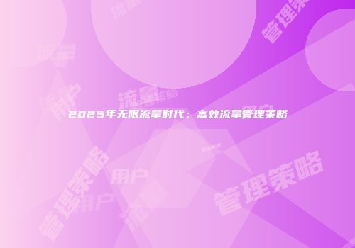 2025年无限流量时代：高效流量管理策略