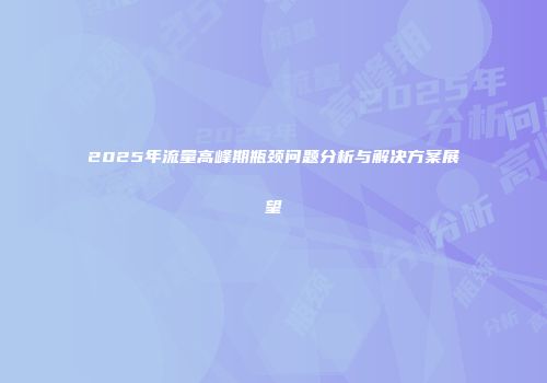 2025年流量高峰期瓶颈问题分析与解决方案展望