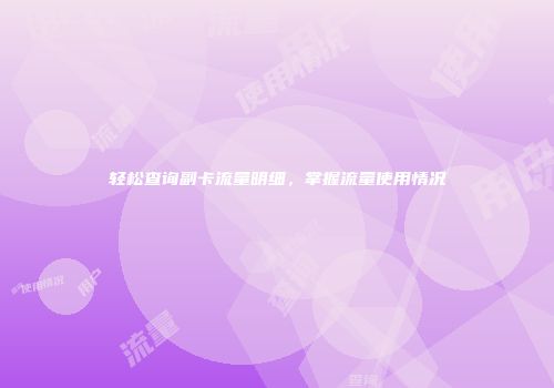 轻松查询副卡流量明细，掌握流量使用情况