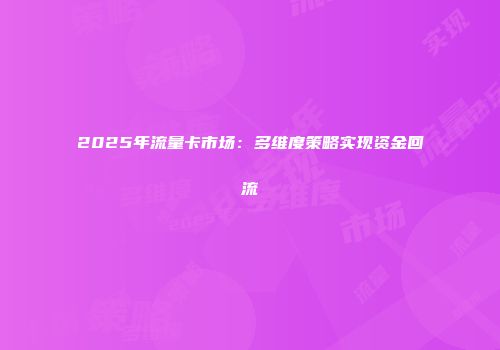 2025年流量卡市场：多维度策略实现资金回流
