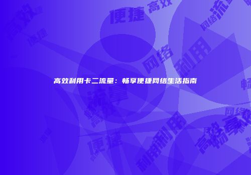 高效利用卡二流量：畅享便捷网络生活指南