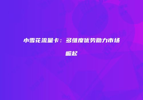 小雪花流量卡：多维度优势助力市场崛起