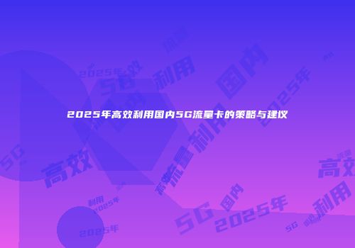 2025年高效利用国内5G流量卡的策略与建议