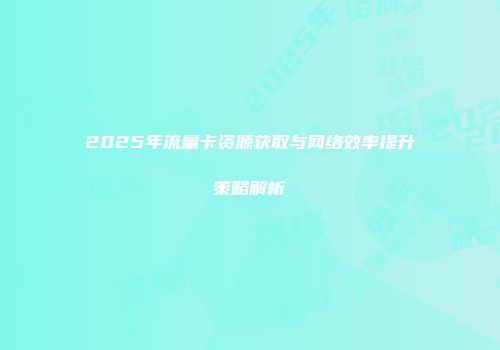2025年流量卡资源获取与网络效率提升策略解析