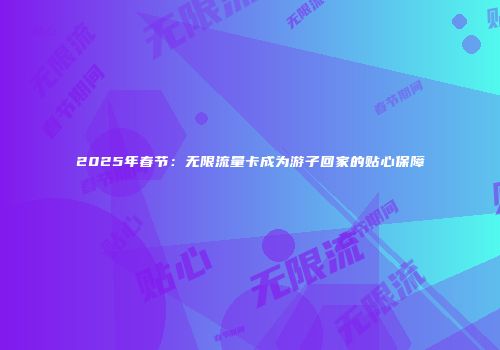 2025年春节：无限流量卡成为游子回家的贴心保障